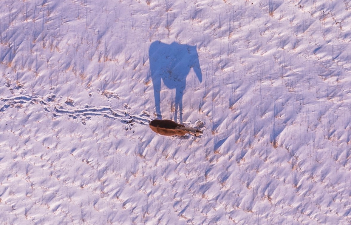 Consultante experte en e-réputation analysant l'impact de l'IA et des LLM sur l'image de marque, Roxanne Legendre, LLM (Large Language Models), AIO (AI Optimization), empreinte algorithmique, Search Generative Experience, stratégie de communication IA