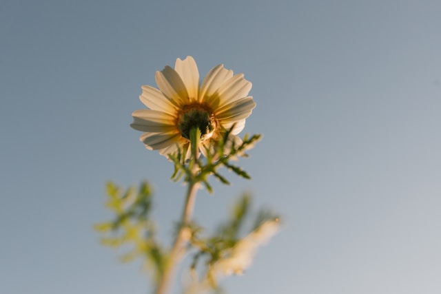 dirigeants TikTok, communication dirigeant réseaux sociaux, TikTok entreprise stratégie, personal branding fondateur, influence B2B TikTok, visibilité dirigeant PME, stratégie communication CEO, TikTok marketing B2B, présence réseaux sociaux dirigeant, consultant communication dirigeant